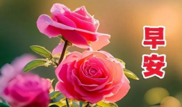 早上好视频,开启美好一天的心灵之旅